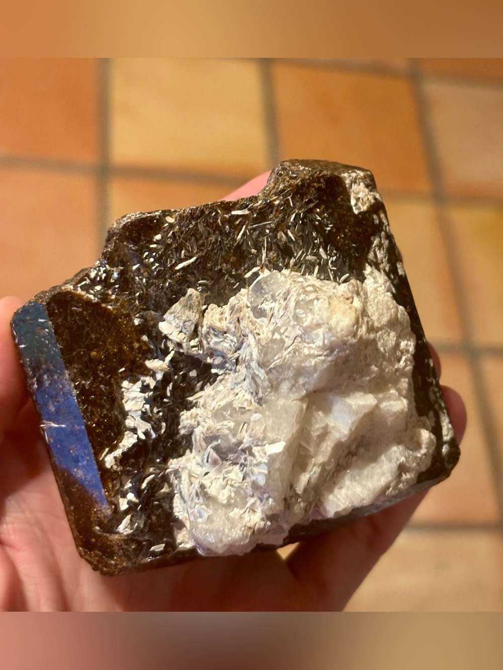 Large Natural Phlogopite Mica Crystal Specimen w/ Silvery Matrix – 475g – 3”
